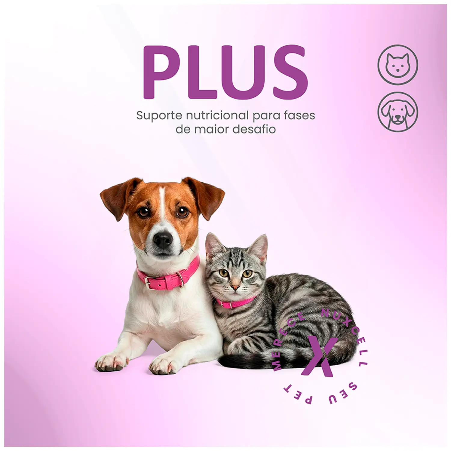 Suplemento Nuxcell para caes e gatos